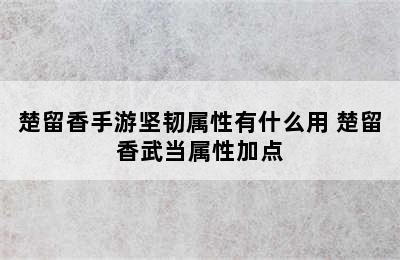 楚留香手游坚韧属性有什么用 楚留香武当属性加点